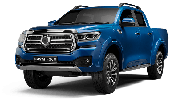 P300 D-CAB 2.4TD LT 4X2 AT
